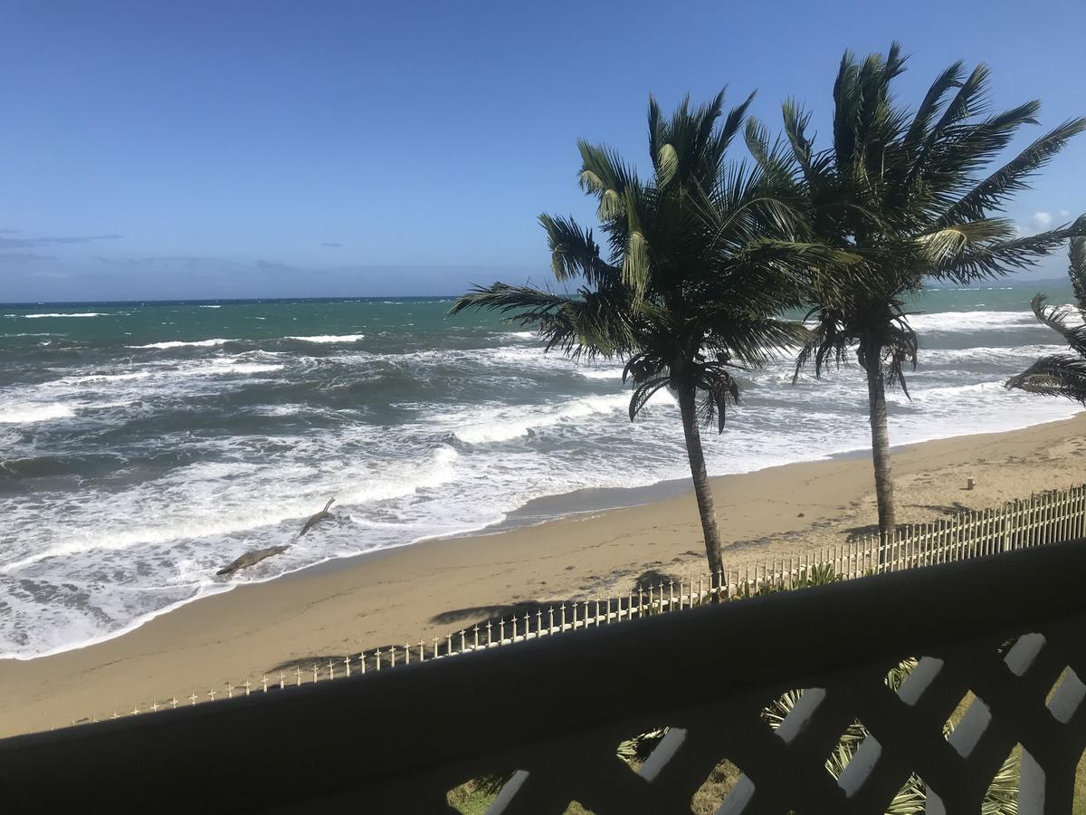 Barefoot Beach Pad Cabarete Eksteriør billede