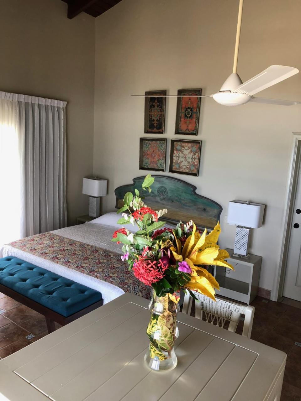 Barefoot Beach Pad Cabarete Eksteriør billede